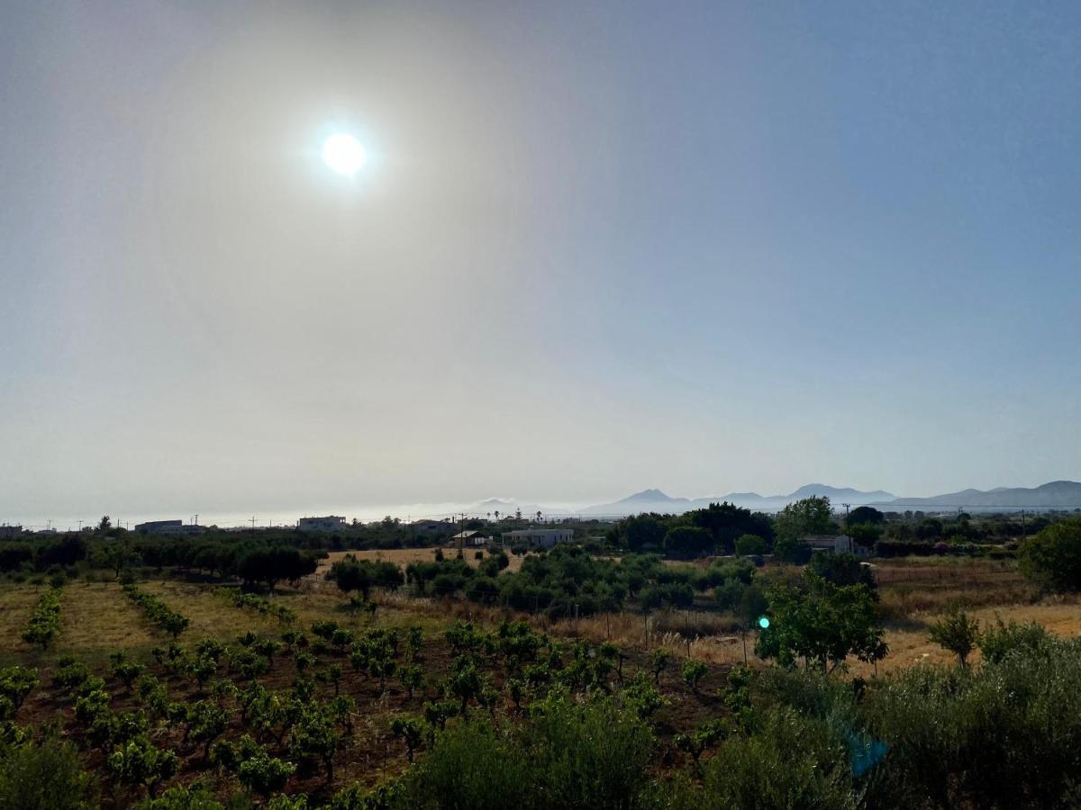 Sunset View Apartment, In The Nature, At Zipari "6" Zipárion Exterior foto